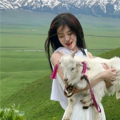杀手欧阳盆栽